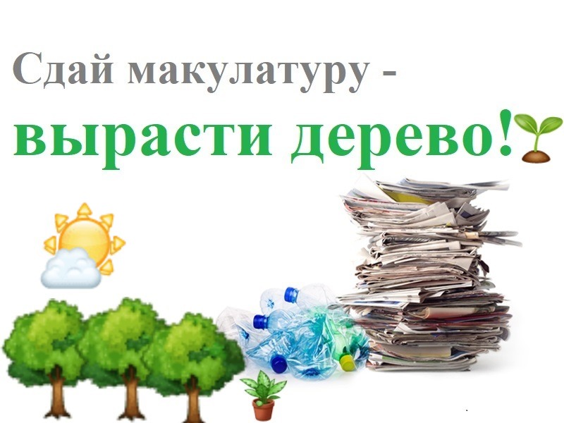 Новгородцев приглашают принять участие в акции «Круг жизни: сдай макулатуру – вырасти дерево».