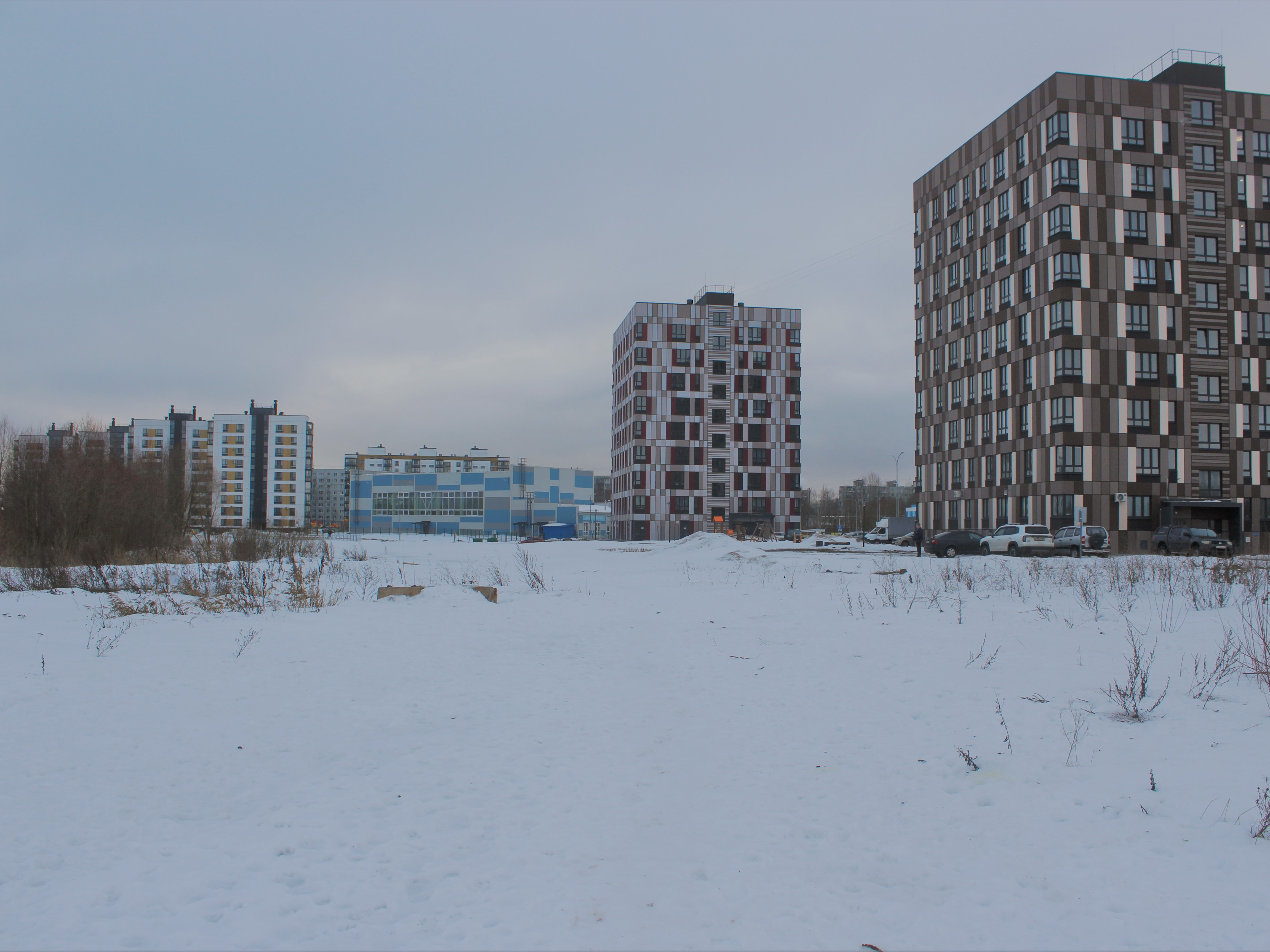 В парке &quot;Чистые пруды&quot; построят площадку для дрессировки и выгула собак.