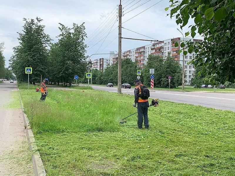 Глава города рассказал, как ведётся работа по окосу города.