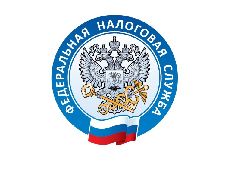 С начала года жители региона получили в МФЦ  более 41,1 тыс. услуг налоговой службы.