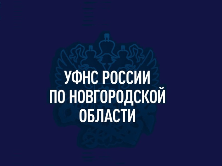 Налоговая служба призывает граждан быть бдительными и не передавать личные данные незнакомым пользователям.