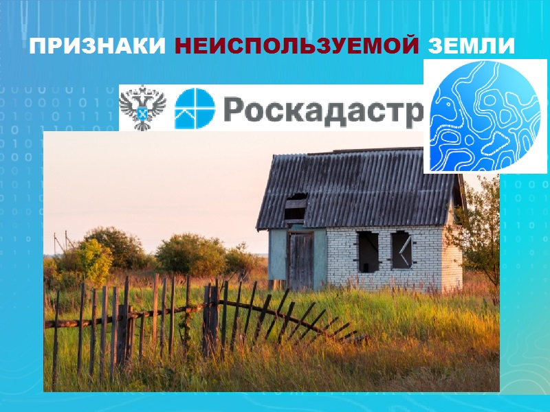 В России установлены критерии неиспользуемых земельных участков.